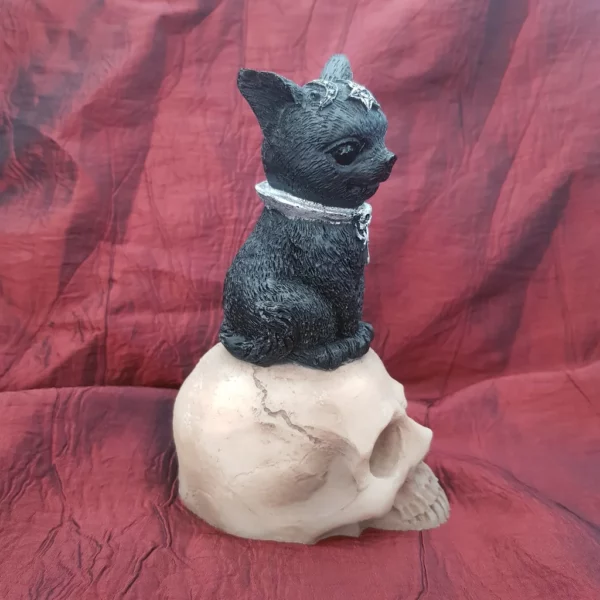 Statuette gothique chat sur crâne humain – Image 3